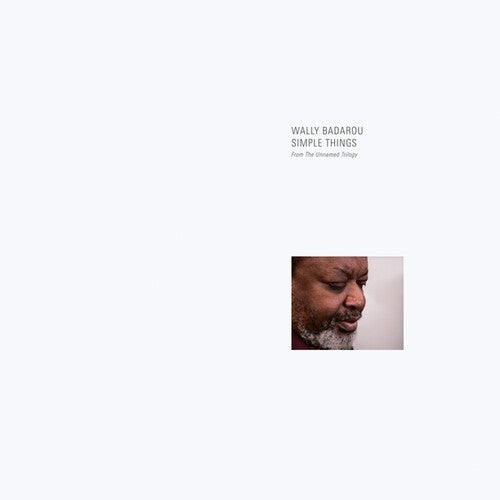 Wally Badarou: Simple Things ( RECORD )