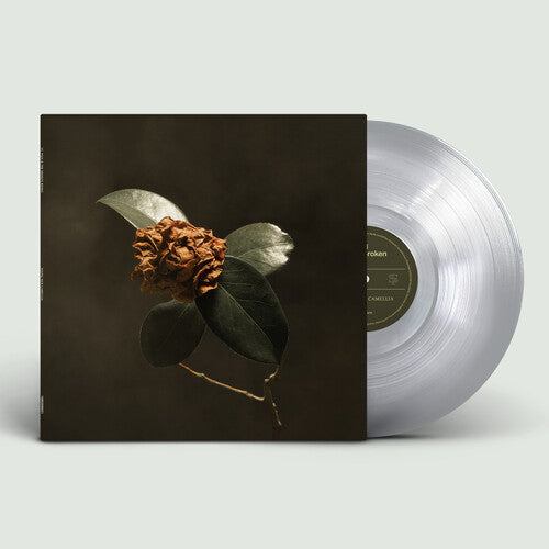 St. Paul & the Broken Bones: Young Sick Camellia ( RECORD )