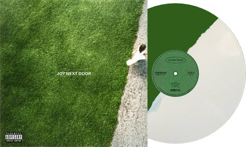 The Maine: Joy Next Door ( RECORD )