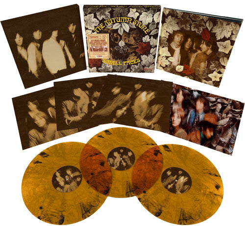 The Small Faces: The Autumn Stone ( RECORD )