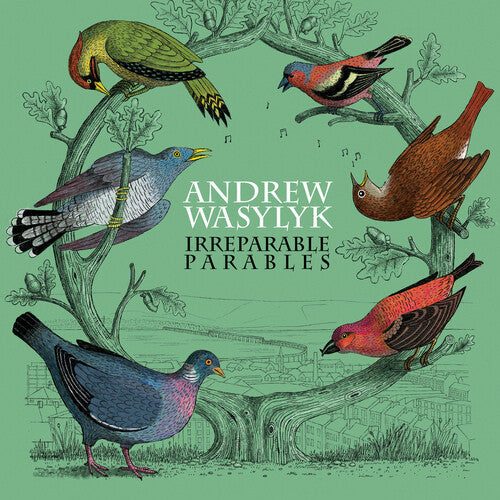 Andrew Wasylyk: Irreparable Parables - Pink Vinyl ( RECORD )