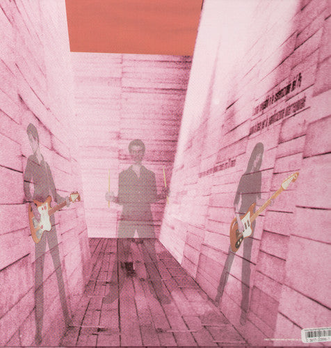 Blonde Redhead: In An Expression of the Inexpressible ( RECORD )