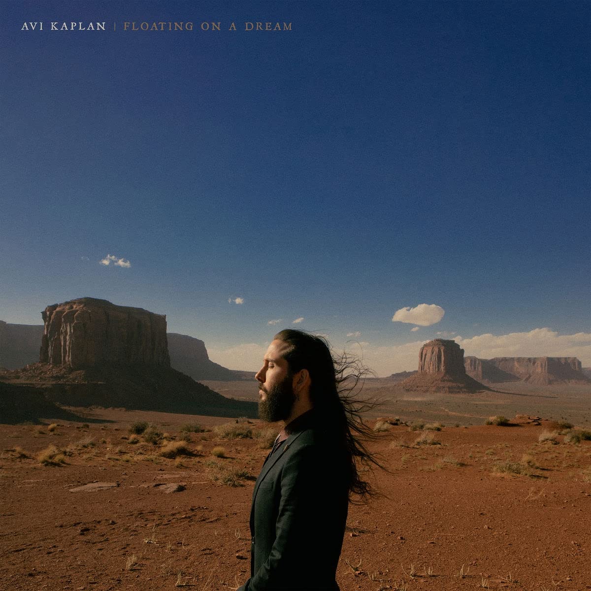 Avi Kaplan: Floating On A Dream ( RECORD )