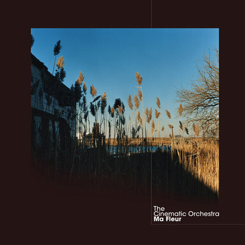 The Cinematic Orchestra: Ma Fleur ( RECORD )