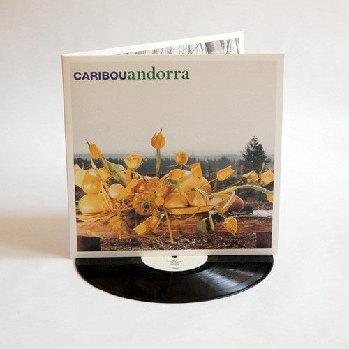 Caribou: Andorra ( RECORD )