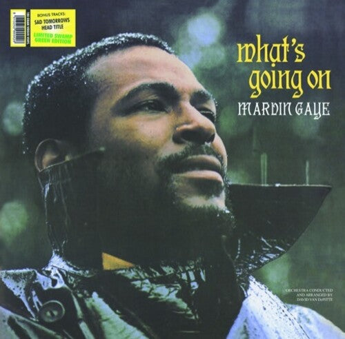 Marvin Gaye: What's Going on ( RECORD )