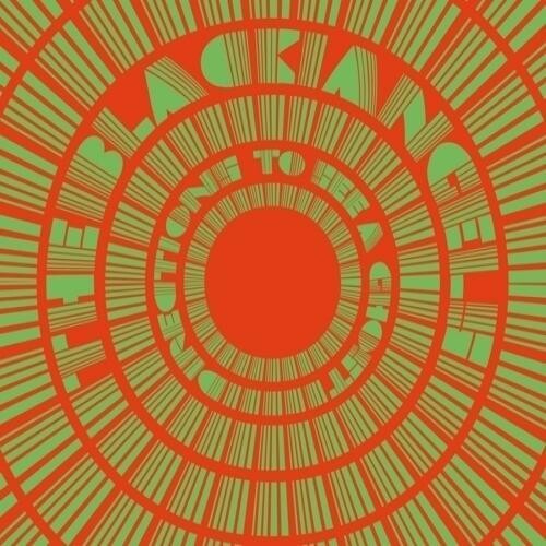 The Black Angels: Directions To See A Ghost ( RECORD )