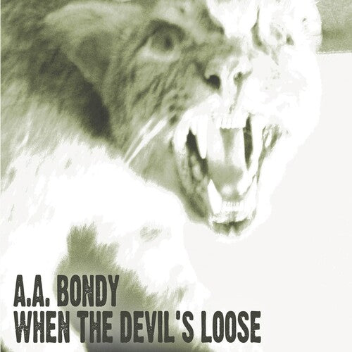 A.A. Bondy: When the Devil's Loose ( RECORD )