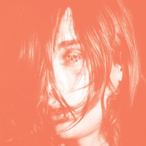 Deerhunter: Microcastle ( RECORD )