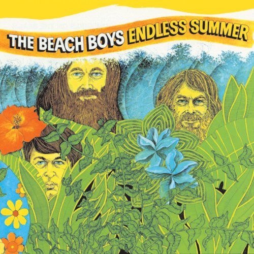 The Beach Boys: Endless Summer ( RECORD )