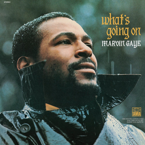 Marvin Gaye: What's Going on ( RECORD )