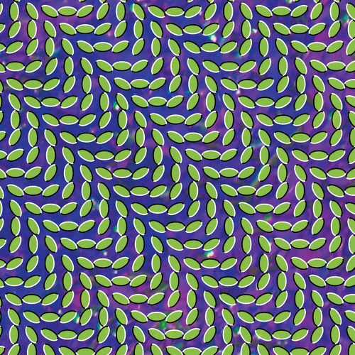 Animal Collective: Merriweather Post Pavilion ( RECORD )