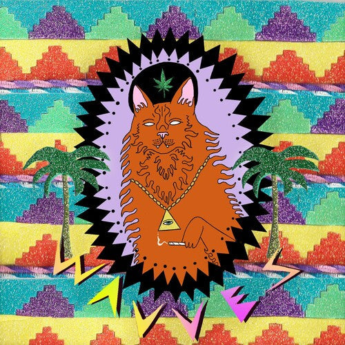 Wavves: King of the Beach ( RECORD )