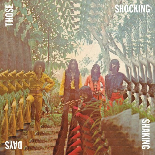 Various Artists: Those Shocking Shaking Days ( RECORD )