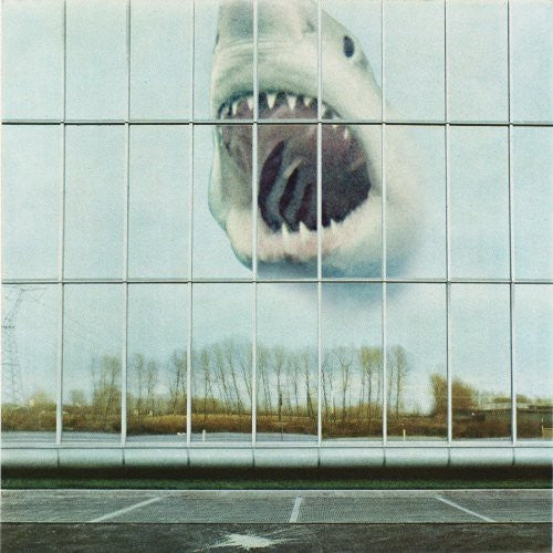 Black Mountain: Wilderness Heart ( RECORD )