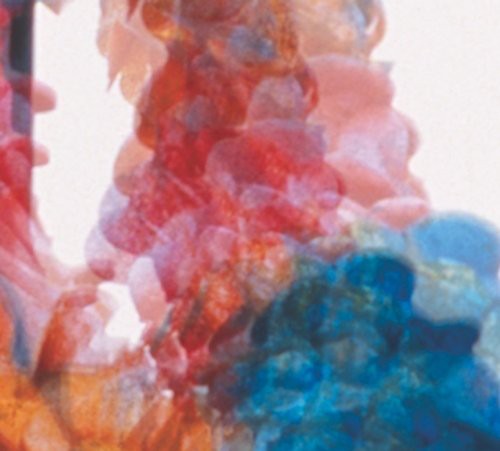 Dungen: Skit I Allt ( RECORD )