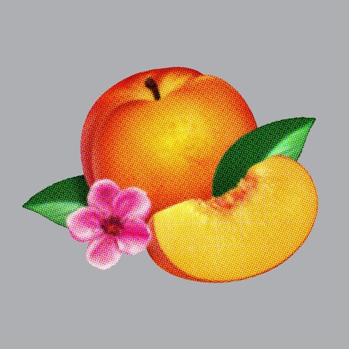Phoenix: Bankrupt ( RECORD )