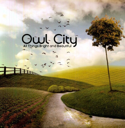 Owl City: All Things Bright and Beautiful ( RECORD )