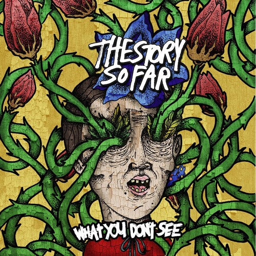 The Story So Far: What You Don't See ( RECORD )