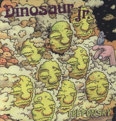 Dinosaur Jr.: I Bet on Sky ( RECORD )