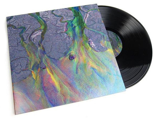 Alt-J: An Awesome Wave ( RECORD )