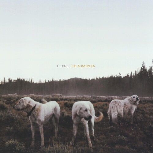 Foxing: Albatross ( RECORD )