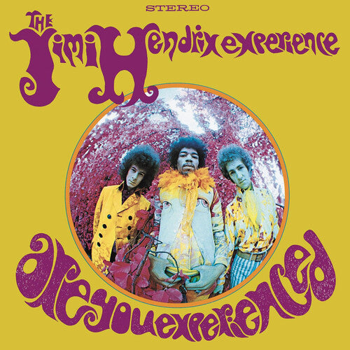 Jimi Hendrix: Are You Experienced ( RECORD )