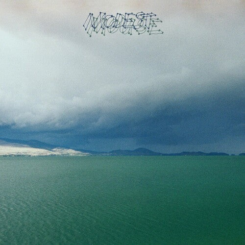 Modest Mouse: Fruit That Ate Itself ( RECORD )