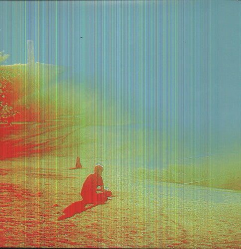 The Flaming Lips: The Terror ( RECORD )