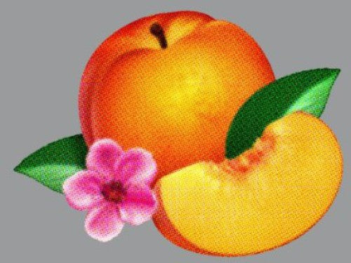 Phoenix: Bankrupt! ( RECORD )