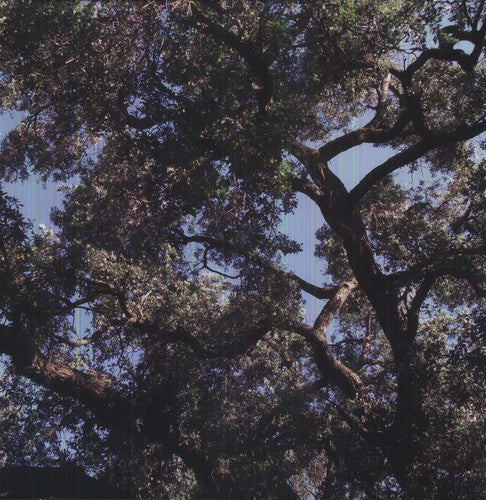 Charles Manson: Trees ( RECORD )