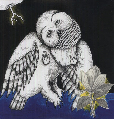 Songs: Ohia: Magnolia Electric Company Co ( RECORD )