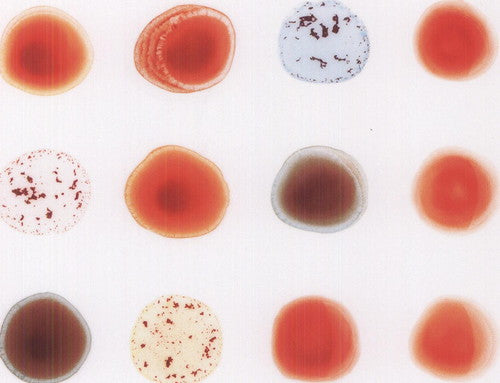 Peter Gabriel: Scratch My Back & I'll Scratch Yours ( RECORD )