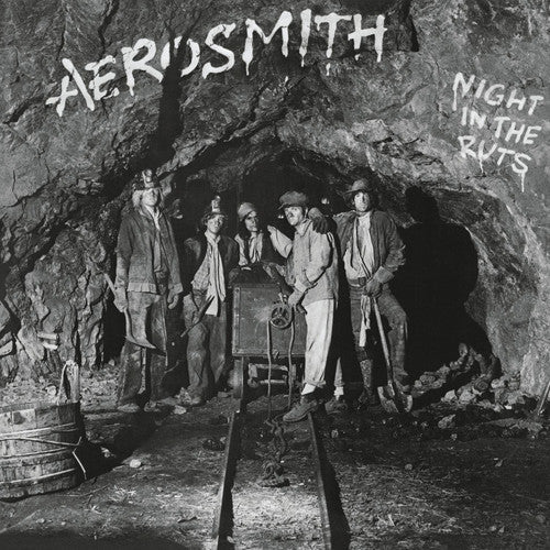 Aerosmith: Night in the Ruts ( RECORD )