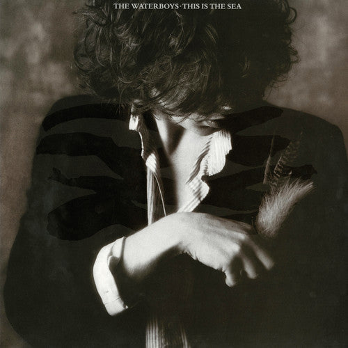 The Waterboys: This Is the Sea ( RECORD )