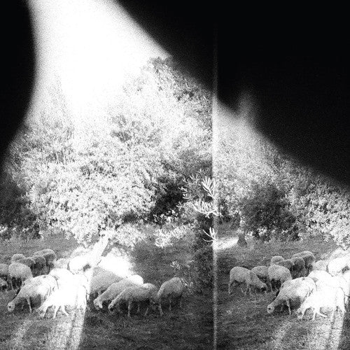 Godspeed You! Black Emperor: Asunder Sweet & Other Distress ( RECORD )
