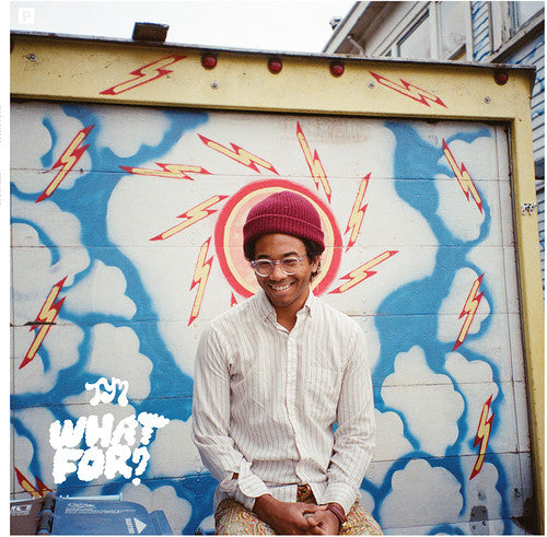 Toro y Moi: What for ( RECORD )