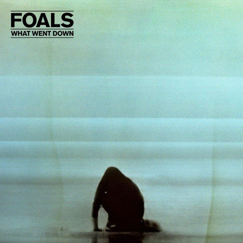 Foals: What Went Down ( RECORD )
