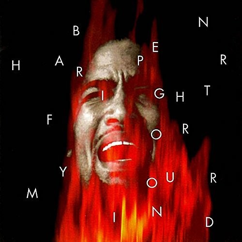 Ben Harper: Fight for Your Mind ( RECORD )