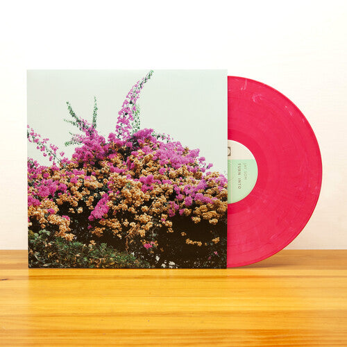 Jay Som: Turn Into ( RECORD )