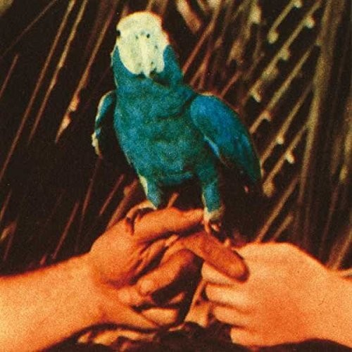 Andrew Bird: Are You Serious ( RECORD )