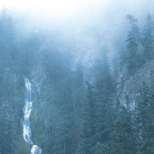 Wolves in the Throne Room: Diadem Of 12 Stars ( RECORD )