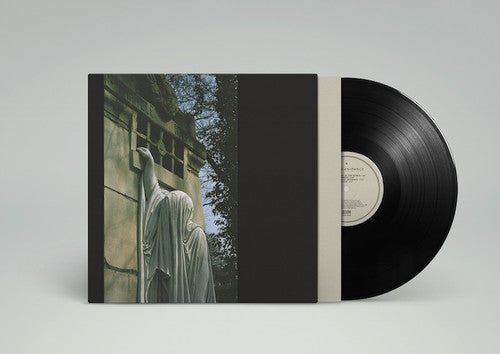 Dead Can Dance: Within The Realm Of A Dying Sun ( RECORD )