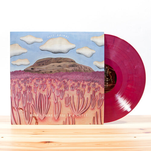 Post Animal: When I Think Of You In A Castle ( ( RECORD )