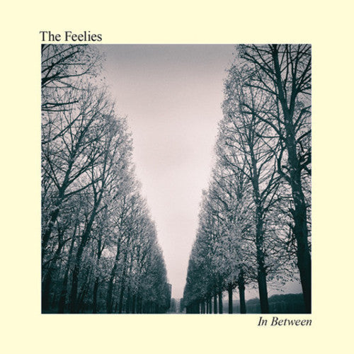 The Feelies: In Between ( RECORD )