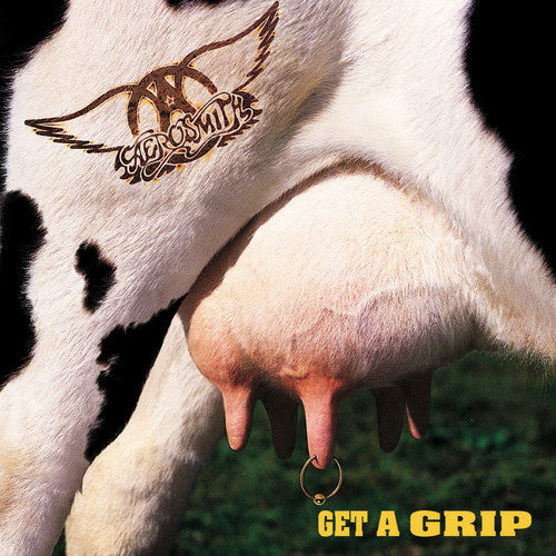 Aerosmith: Get A Grip ( RECORD )