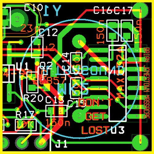 The Brian Jonestown Massacre: Don't Get Lost ( RECORD )