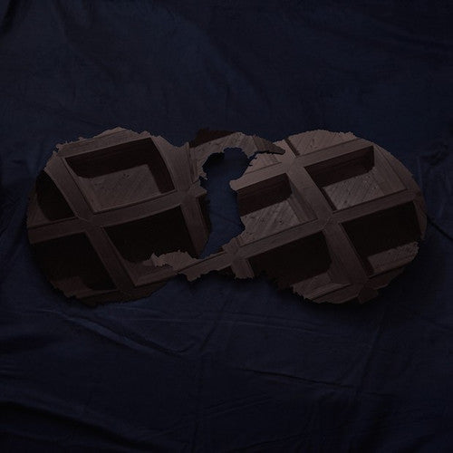 Dirty Projectors: Dirty Projectors ( RECORD )