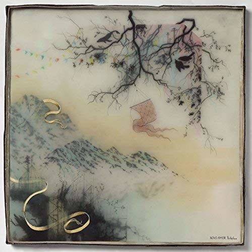 Novo Amor: Birthplace ( RECORD )