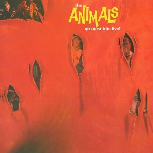 The Animals: Greatest Hits Live ( RECORD )